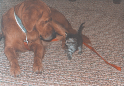 scan0005.tif